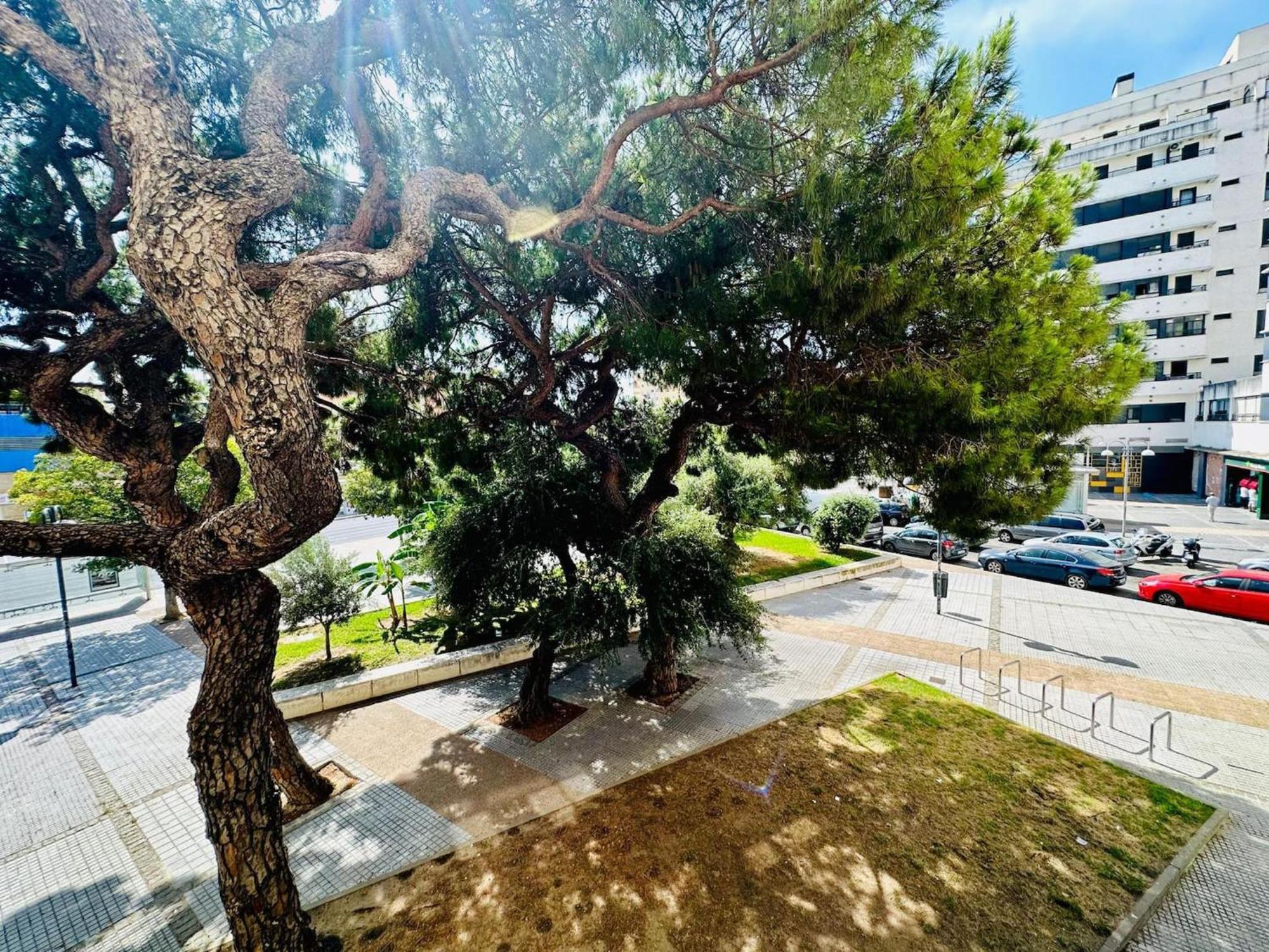 Avenida Portugal Con Ascensor Grupo Ac Gestion Apartment Cadiz Exterior photo